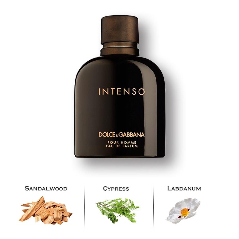 Dolce Gabbana Intenso by Dolce & Gabbana 6.7 Oz. Eau De Parfum For Men