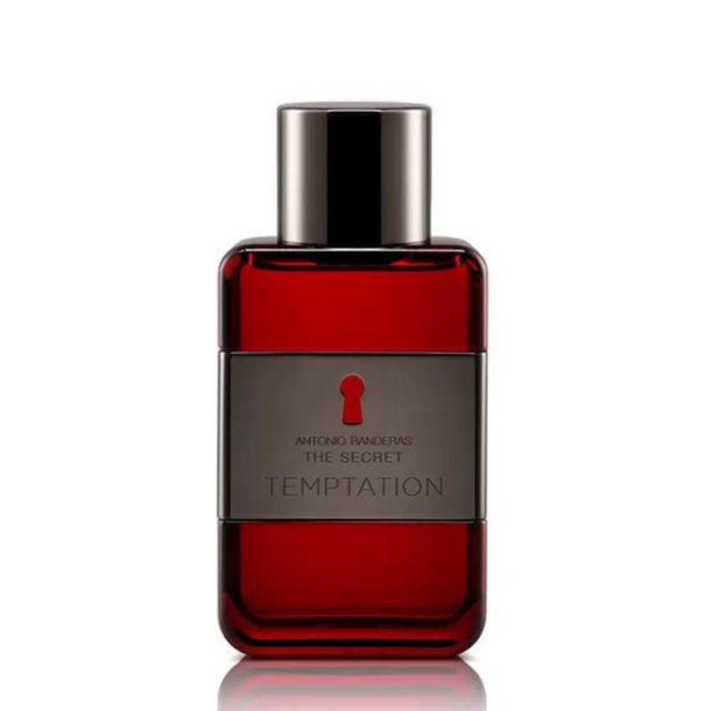 The Secret Temptation EDT for Men 100mL
